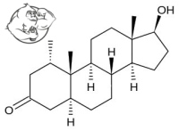 Mesterolone proviron chemical structure