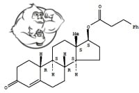 Nandrolone Phenylpropionate (NPP)