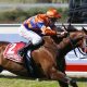 Equine Biological Passport To Be Introduced By Racing NSW
