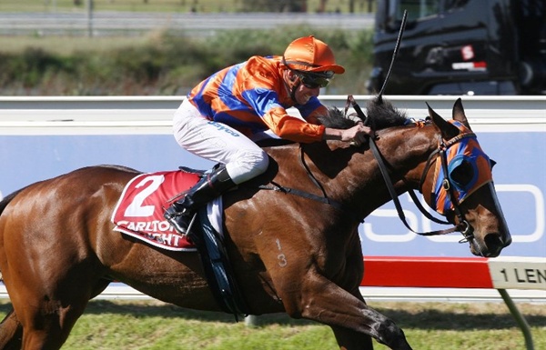 Equine Biological Passport To Be Introduced By Racing NSW