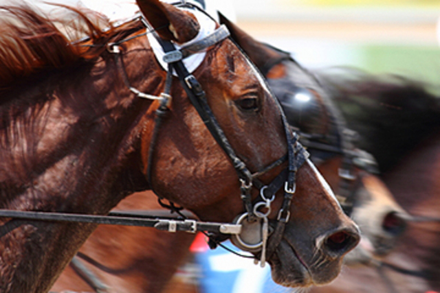 horse doping