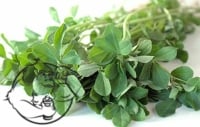 Fenugreek leafs
