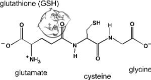 Glutathione chemical structure