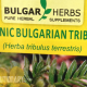 Bulgarian-Tribulus-Terrestris