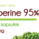 Piperine-Explained
