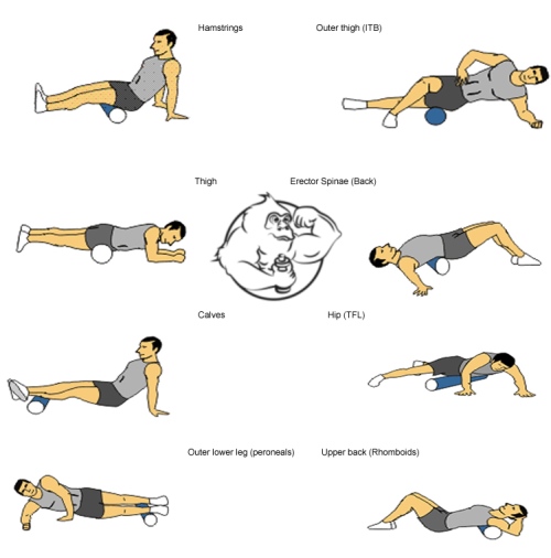 foam rolling exercises