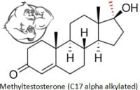 methyl testosterone