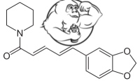 piperine chemical structure