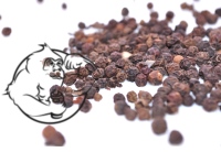 piperine plant