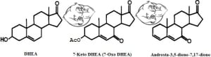 7-keto-dhea vs Androsta chemical structure