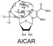 aicar chemical structure
