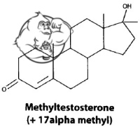 methyl testosterone 17alpha alkylation