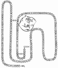 omnitrope hgh