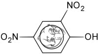 2-4-dinitrophenol dnp