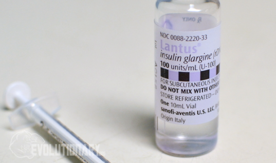 Insulin