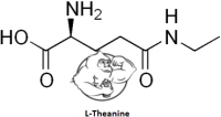 L-Theanine