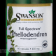 Phellodendron