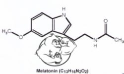 melatonin chemical structure
