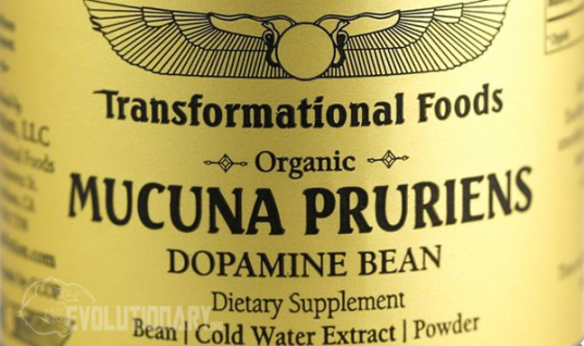 Mucuna-Pruriens