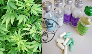 marijuana steroids