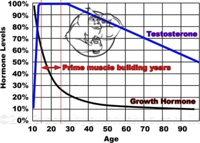 Benefit of testosterone