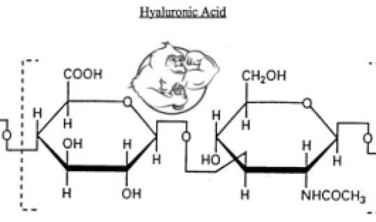 hyaluronic acid