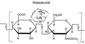 hyaluronic acid