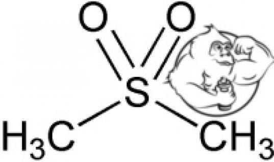 methylsulfonylmethane msm