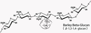 Beta Glucan