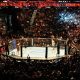 UFC