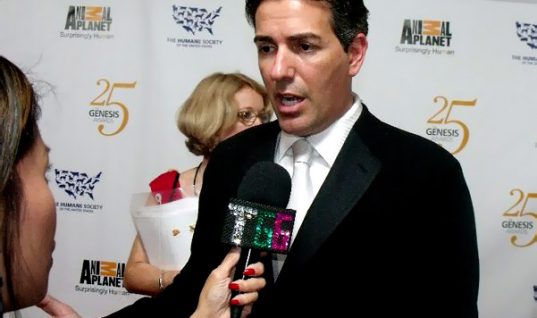 Wayne Pacelle