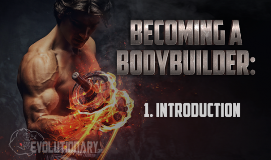 Becoming-a-BodyBuilder – Introduction