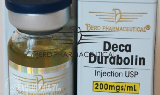 Berd Pharmaceutical Deca Durabolin