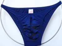 brazilian cut posing suit