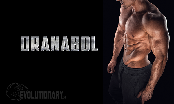Oranabol - Evolutionary.org Oranabol - Evolutionary.org