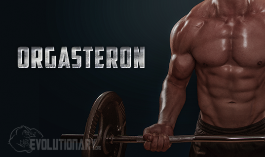 Orgasteron (norethandrolone)