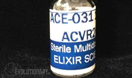 Ace-031