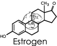 estrogen chemical structure