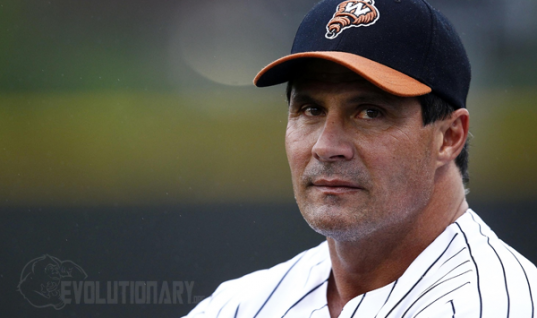 Jose Canseco Steroid Cycle