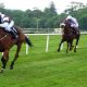 Horse Racing