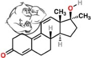 Metribolone chemicalstructure