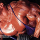 Mike Matarazzo Steroid Cycle