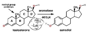 aromatase inhibitor conversion