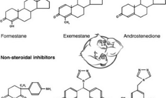 aromatase inhibitors list
