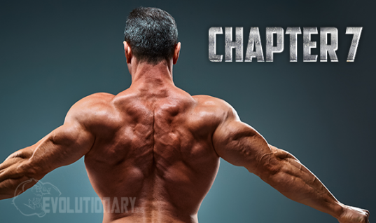 chapter 7