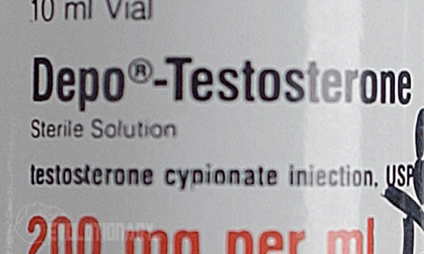 Testosterone Esters Chart