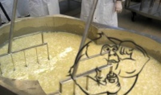 whey protein manufacturing