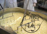 whey protein manufacturing