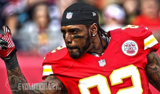Dwayne Bowe Steroid Cycle