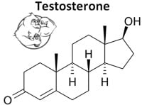 testosterone.jpg